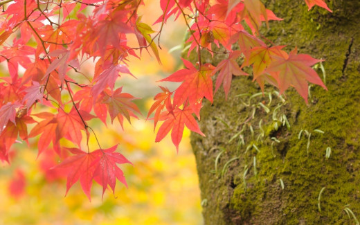 398000 (a): :2560x1600
